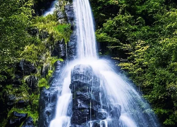 Gesindestube Trusetal Σπίτι διακοπών